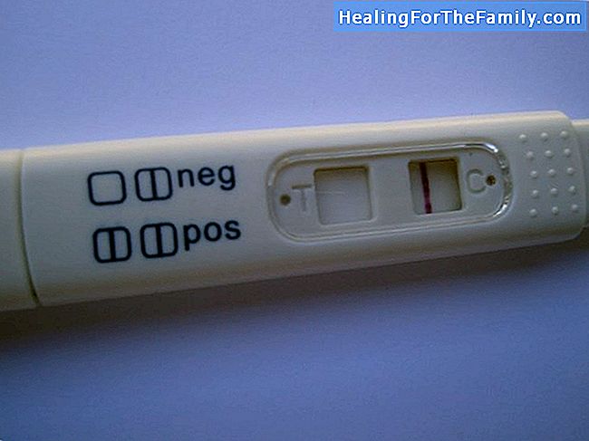 Testes que confirmam a gravidez de gêmeos