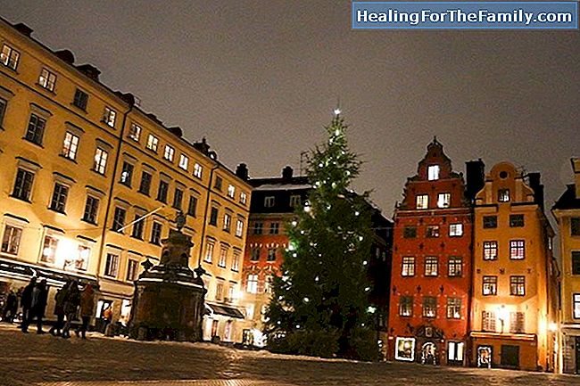 Os melhores hotéis e restaurantes em Estocolmo para crianças