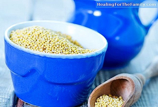 Beneficiile quinoa în alimentația copiilor