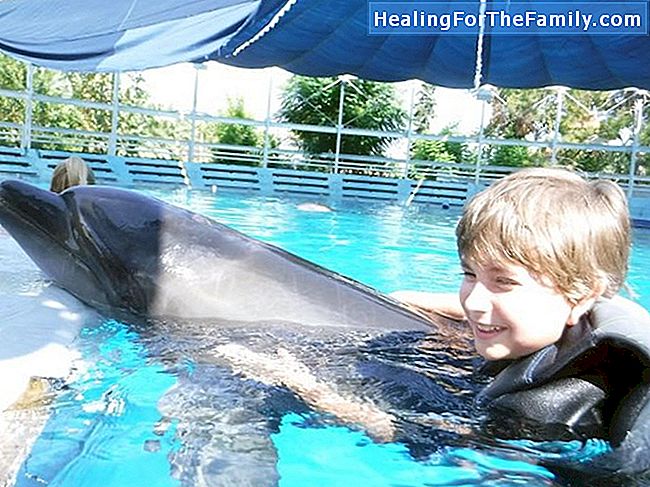 Terapia cu delfini la copii cu dizabilități