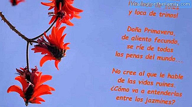 Doña Primavera. Barnas korte dikt