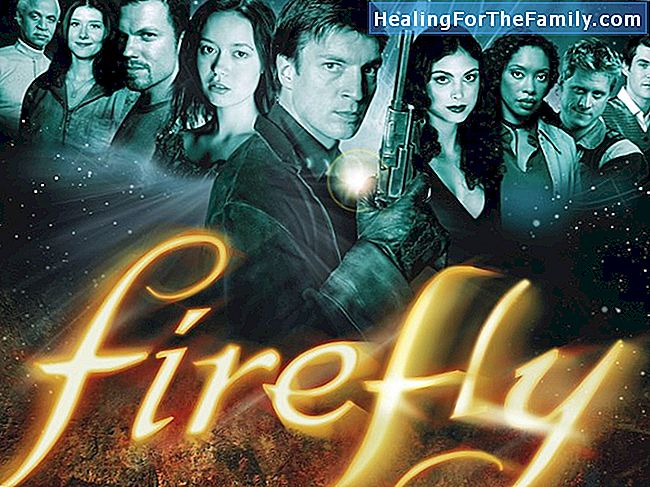 Firefly. pepinieră rima animale