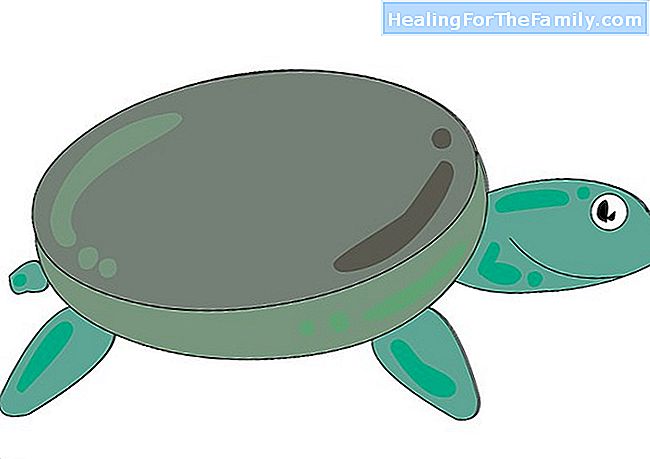 Cum să desenezi o broască țestoasă. Desene pentru copii