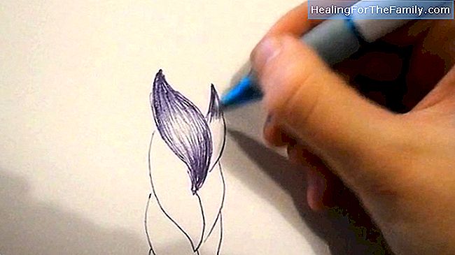 Hur man ritar en ros. barnteckningar av blommor