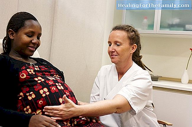 Graviditet och fördelarna med nypon