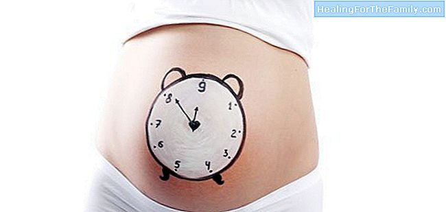 Limaa raskauden korkki ja synnytyksen