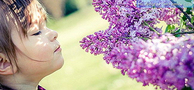 Hoe om te helpen richten het kind met aromatherapie