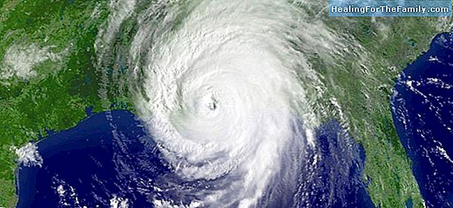 O que é um furacão e como ele forma