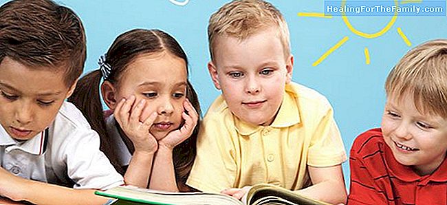  Warum sollten Kinder lesen Fabeln