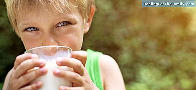 Allergy to milk protein in children