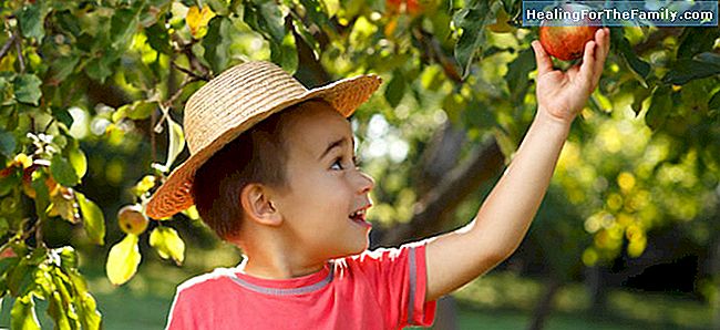 Fruits d'automne pour les enfants