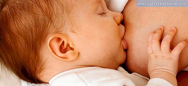 Aleitamento materno: o melhor para o bebê