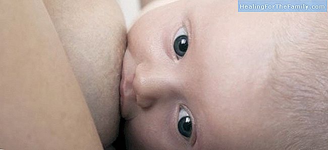 L'allaitement maternel: fissures dans la poitrine