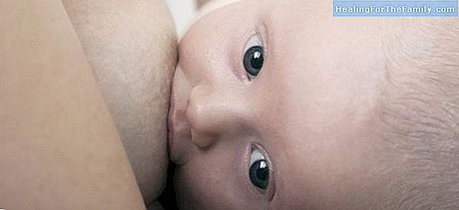 יבלות או שלפוחיות יניקה על התינוק היונק
