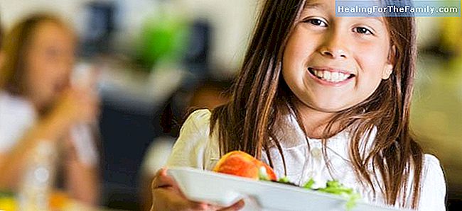 Diett for barn: 3 eller 5 måltider om dagen?