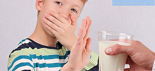 Unterschied zwischen Laktoseintoleranz und Allergien gegen Milcheiweiß Kuh