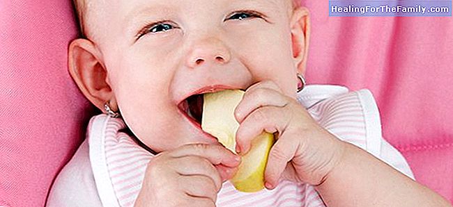Hvordan å innføre mat i små stykker for babyen
