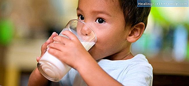 Mjölk ökar slem hos barn