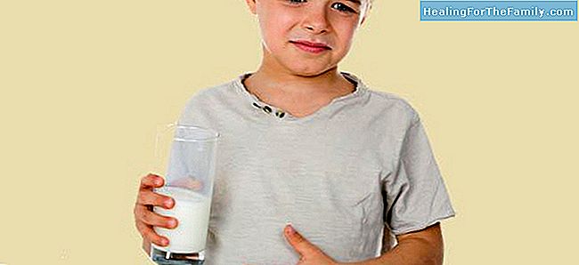 Perguntas e respostas sobre intolerância à lactose
