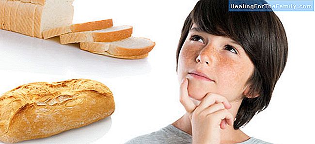 Brotscheiben oder traditionelles Brot, das für Kinder am gesündesten ist?