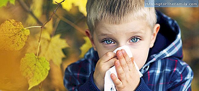 10 Ledtrådar för att skilja en kall från en allergi hos barn