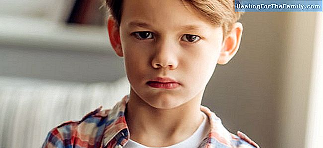 15 Fausses croyances au sujet des enfants avec TDAH