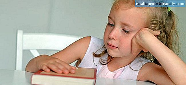 Falsos mitos sobre dislexia em crianças