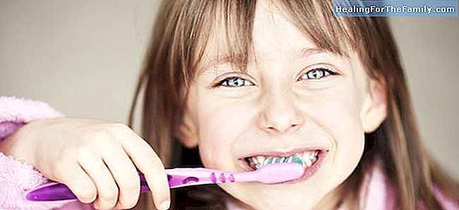 Miten harjata hampaat lapsia