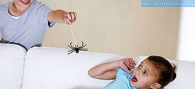 Le plus dangereux pour les araignées enfants en Espagne