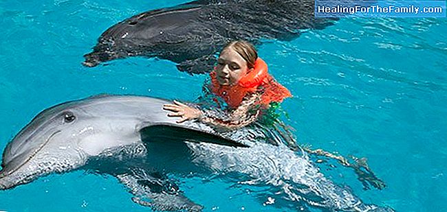 Delfiini lapsilla, vammaiset