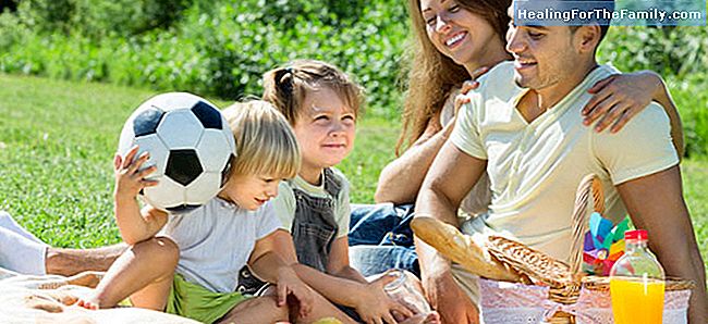7 Tipps für ein gesundes und ausgewogenes Familie Picknick zu organisieren