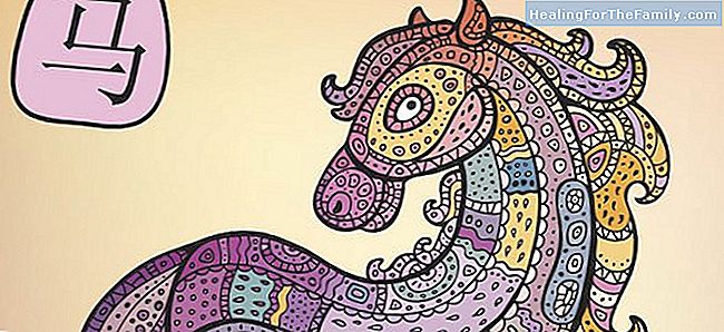 Chinese horoscoop Horse