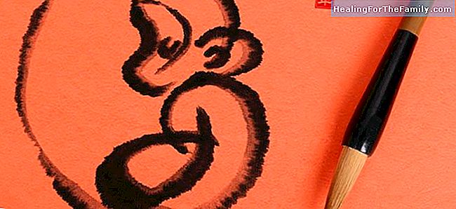 Chinesisches Horoskop für Kinder unterzeichnen Mono