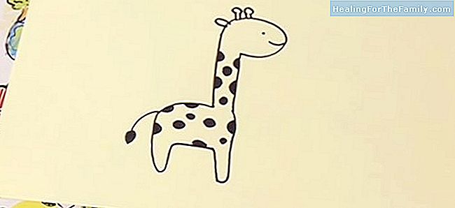 Wie zeichnet man eine Giraffe Schritt für Schritt