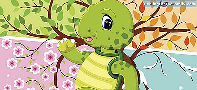 Turtle Hugo. barnerim å lære måneder