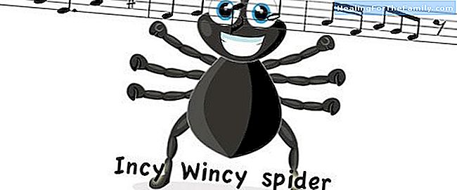 Inkl. Winzige Spinne. Song für das Lernen Englisch