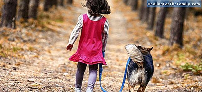 Les avantages de la marche chez les enfants