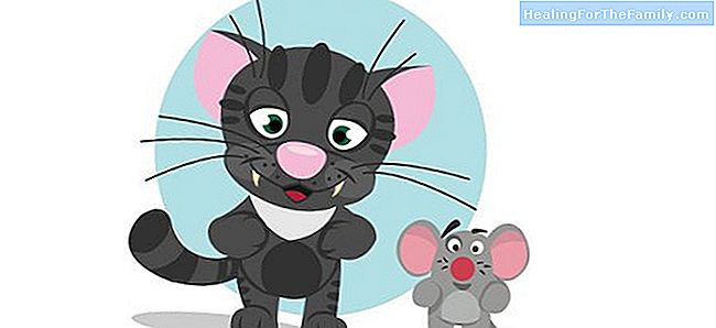De kat en de muis. Iriarte's Fables voor kinderen