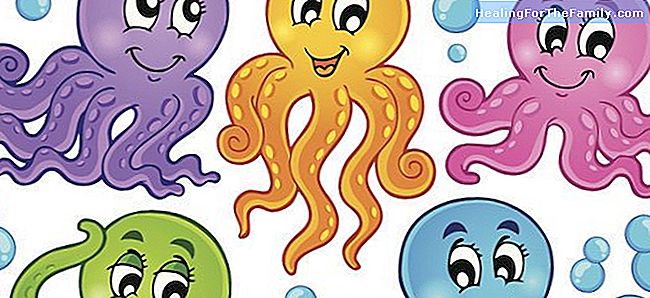 Cephalopodene. morsomme dikt for barn