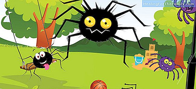 Den åtta benen spindeln. Fable för barn med moral