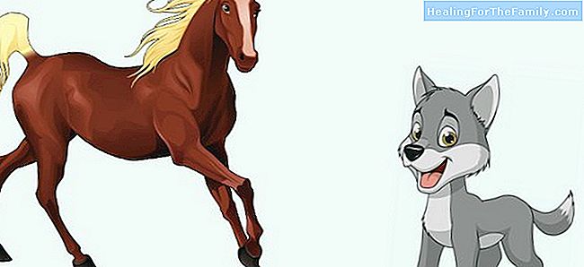 De wolf en het paard. Fabels van Phaedrus Kinderen