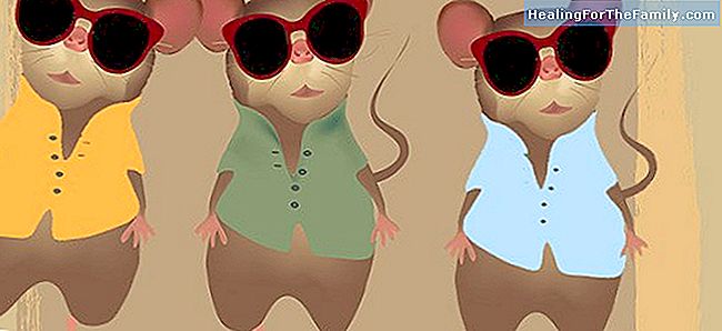 Drie blinde muizen. Song om Engels te leren met de kinderen