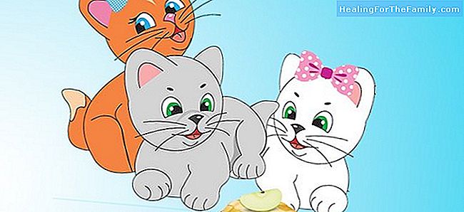 Drie kleine kittens. Engels liedjes voor baby