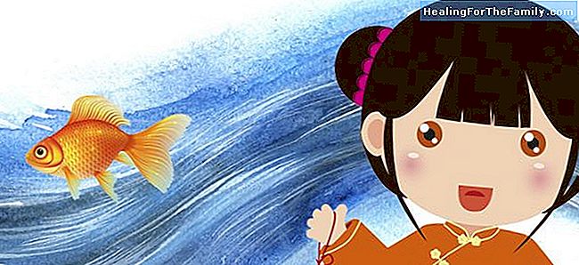 Yeh-Shen, la vera Cenerentola. leggenda cinese per i bambini