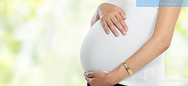 Alterações no sistema circulatório durante a gravidez