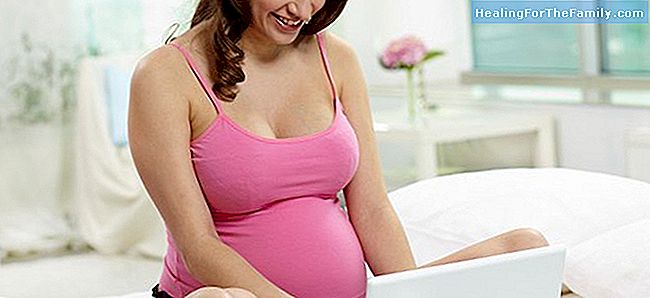 Schwangerschaftsrechner