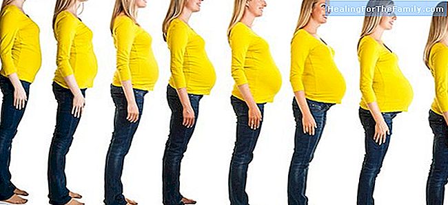 Schwangerschaft. Änderungen in der Körper der Frau jeden Monat