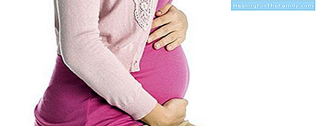 Schwangerschaftsmenü. Vierter Monat
