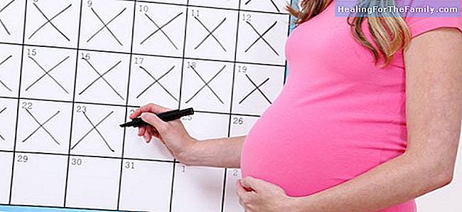 Die Dauer der Schwangerschaft variiert bis zu 5 Wochen