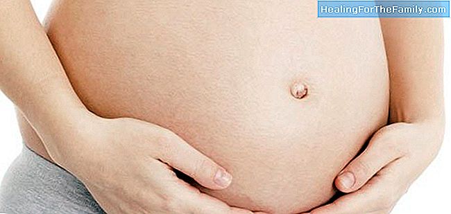 De första månaderna av graviditet